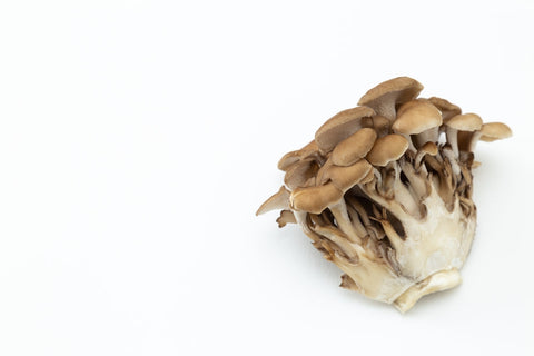 The Health Benefits of Maitake Mushrooms aka "Dancing Mushrooms"