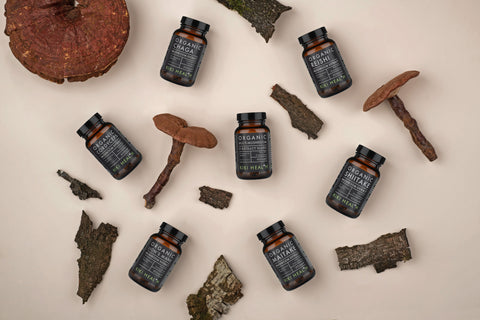 Exploring Mushroom Supplements: Which is Best for You?