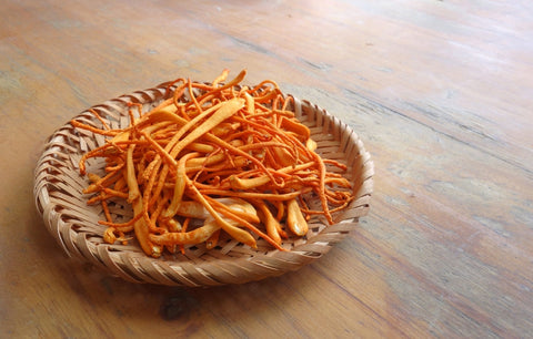 Cordyceps Benefits: Unveiling the Power of This Incredible Fungus