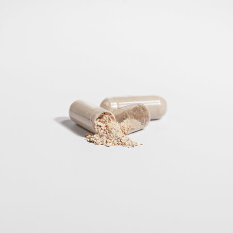 Lion's Mane Mushroom Capsules - 1000MG