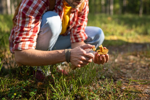 person picking mushrooms