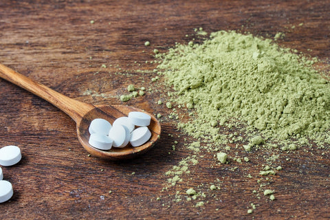 Mushroom Nootropics