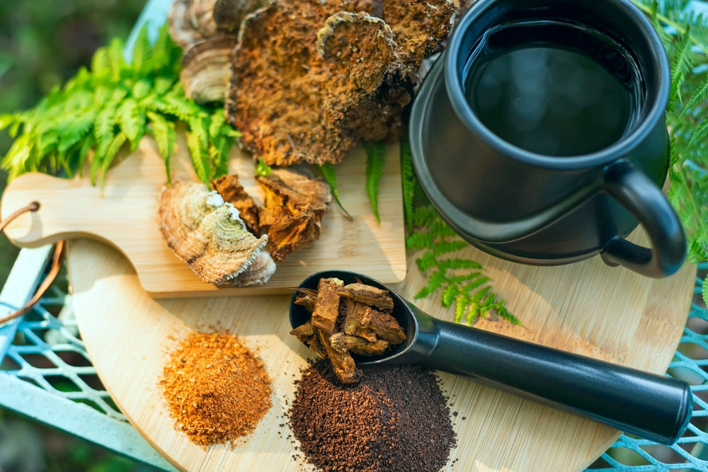 mushroom coffee