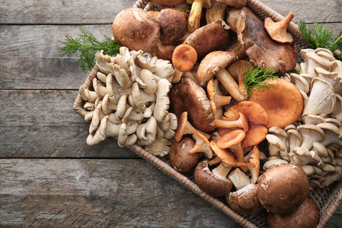 an assortment of functional mushrooms