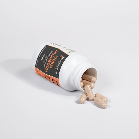 Chaga Mushroom Capsules - 1000MG