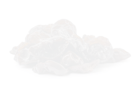 black fungus mushrooms - light
