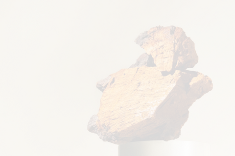 chaga mushrooms - light