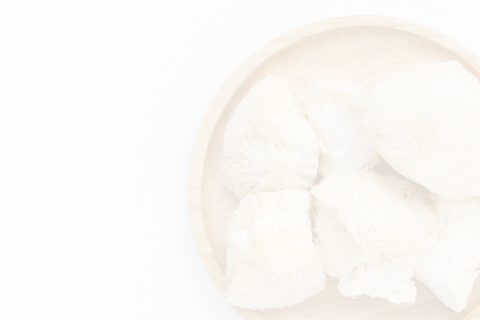 lions mane mushrooms - light
