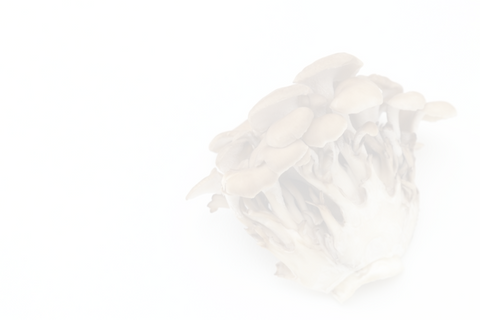 maitake mushrooms - light