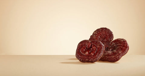 reishi mushrooms on flat pale background